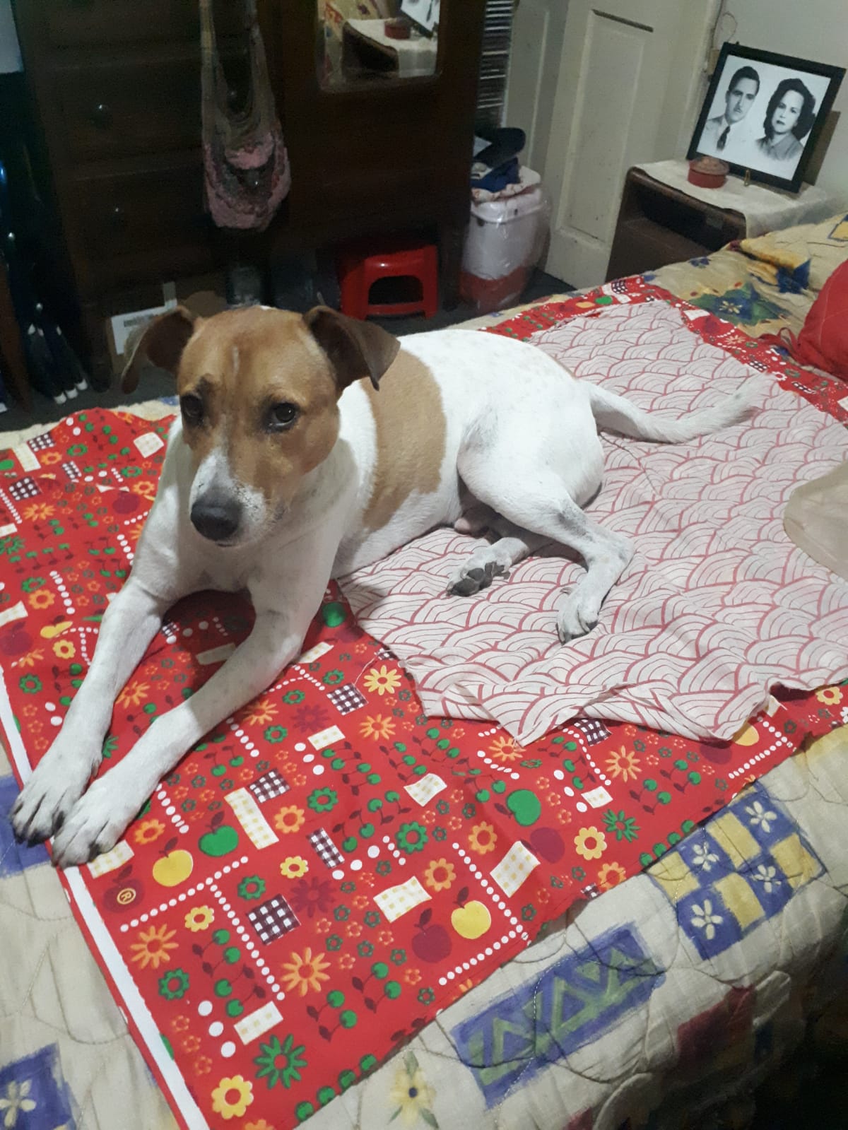 The Boney on the bed in grandma's room.